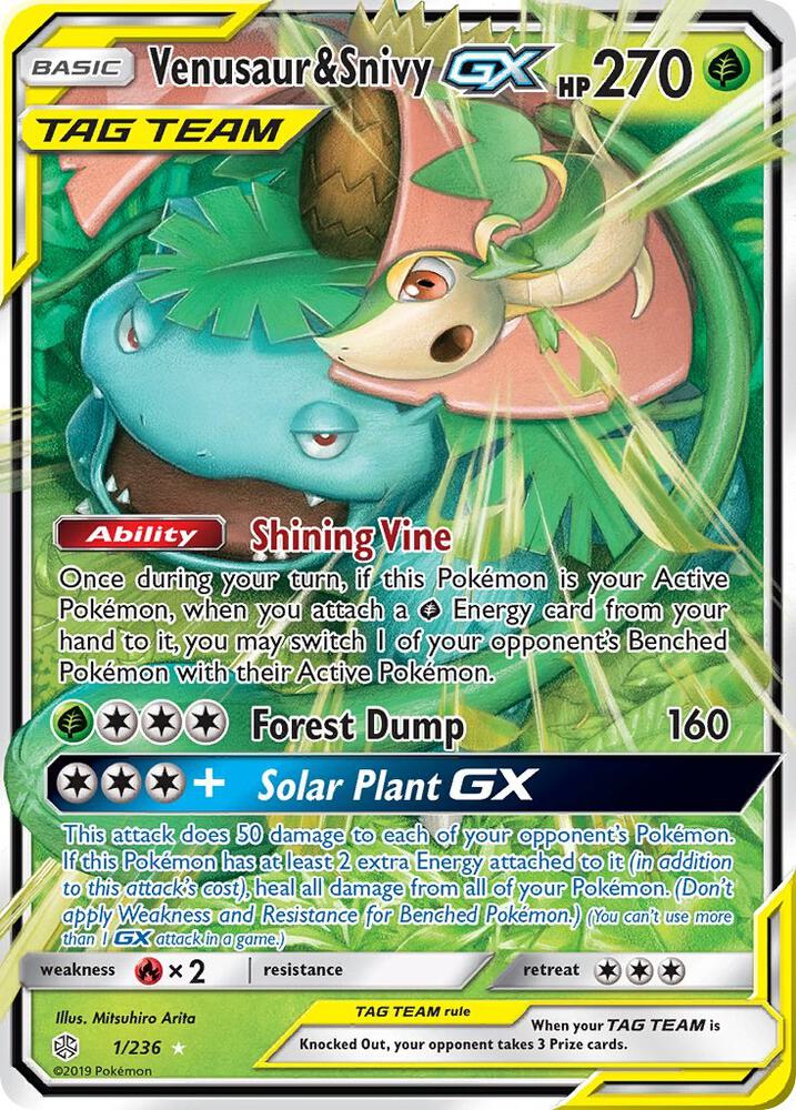 Venusaur & Snivy GX - 1/236