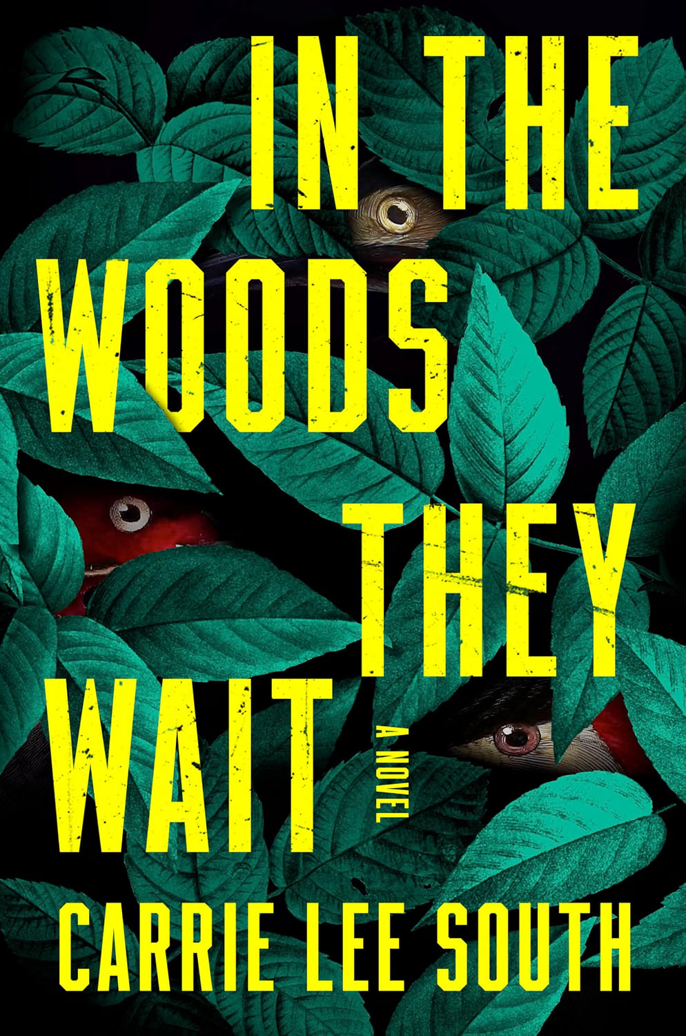 In the Woods They Wait: A Novel