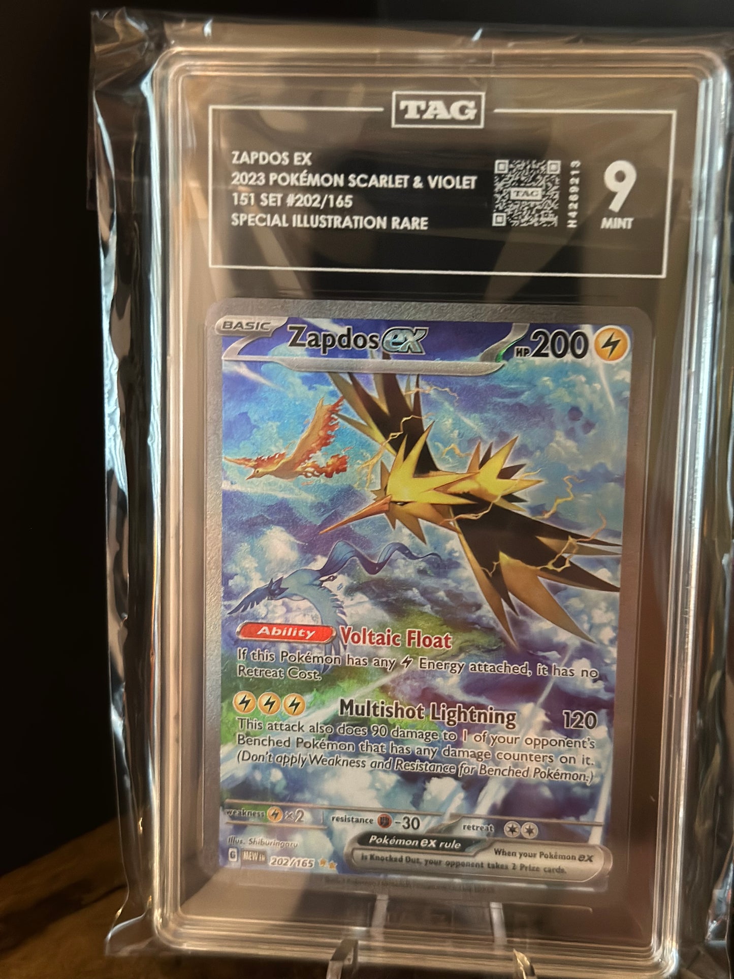 Zapdos EX (TAG 9) 202/165
