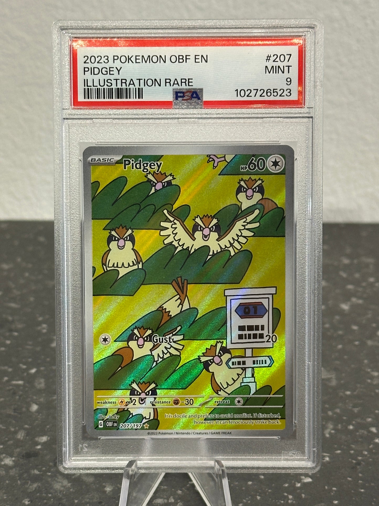 2023 Pokemon Obsidian Flames Pidgey #207 Illustration Rare - PSA 9 MINT